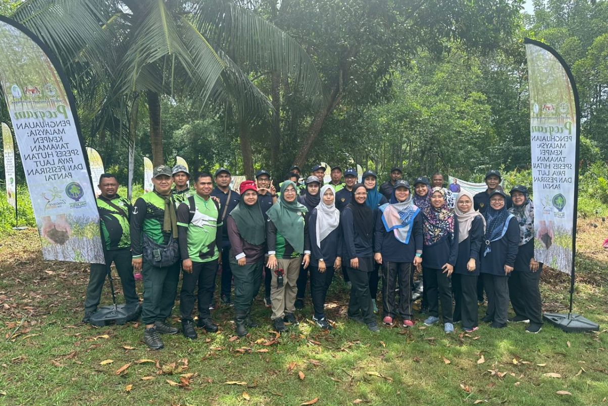 Program CSR Penanaman Pokok Bakau